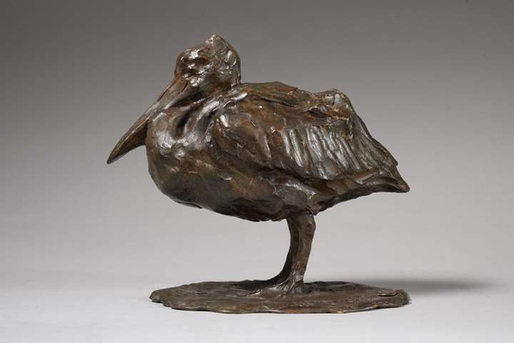 PETIT PÉLICAN AU REPOS (Circa 1904)